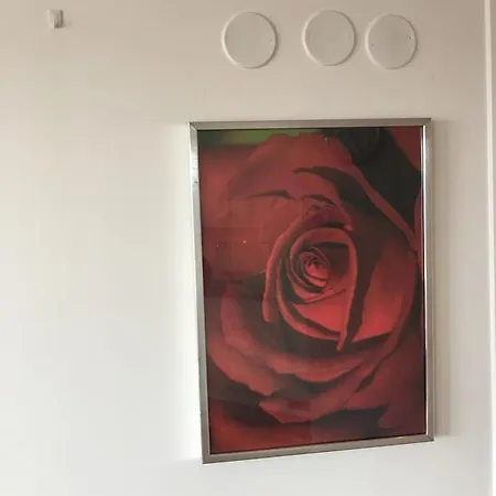 Modern 1 Bedroom With Balcony And View